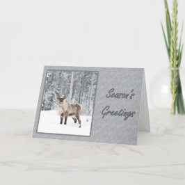 Cartes Pour Fêtes Annuelles Salutations Snowy Reindeer
