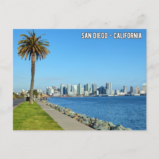 Cartes Pour Fêtes Annuelles San Diego - Californie (Devant)