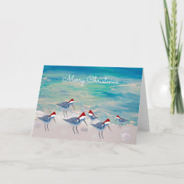 Cartes Pour Fêtes Annuelles Sandpippers Christmas coastal Holiday greeting.