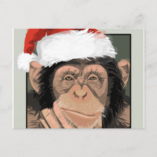 Cartes Pour Fêtes Annuelles Santa Chimp