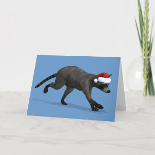 Cartes Pour Fêtes Annuelles Santa Claus Coon