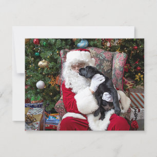 Cartes Pour Fêtes Annuelles Santa Claus Cute Puppy Black Labrador Noël
