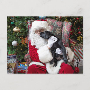 Cartes Pour Fêtes Annuelles Santa Claus Puppy Black Labrador Noël