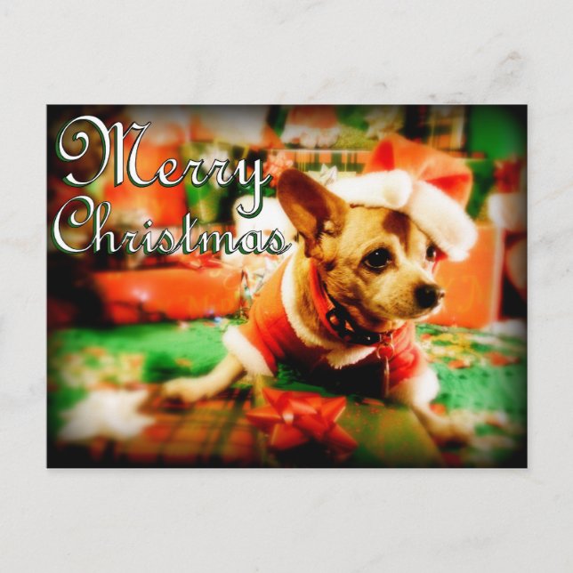 Cartes Pour Fêtes Annuelles Santa Clause Chihuahua Joyeux Noël (Devant)