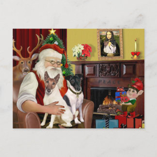 Cartes Pour Fêtes Annuelles Santa - Deux Fox-Terriers à poil lisse