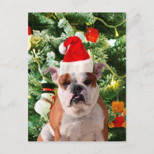 Cartes Pour Fêtes Annuelles Santa Hat Bulldog Christmas Tree Snowman boîte cad