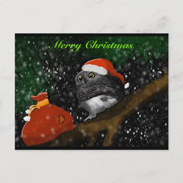 Cartes Pour Fêtes Annuelles Santa Owl Christmas Card (Devant)