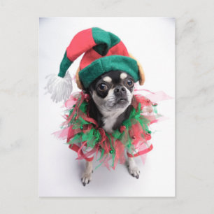 Cartes Pour Fêtes Annuelles Santa's Little Helper Elf Dog