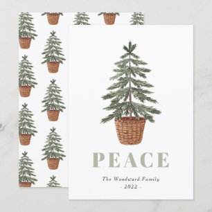 Cartes Pour Fêtes Annuelles Sapin de Noël Simple Paix