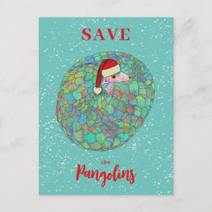 Cartes Pour Fêtes Annuelles Sauvons les Pangolins Slogan de Noël