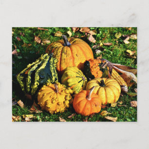 Cartes Pour Fêtes Annuelles Scène d'Action de grâce avec Gourdes-Corn-Citrouil