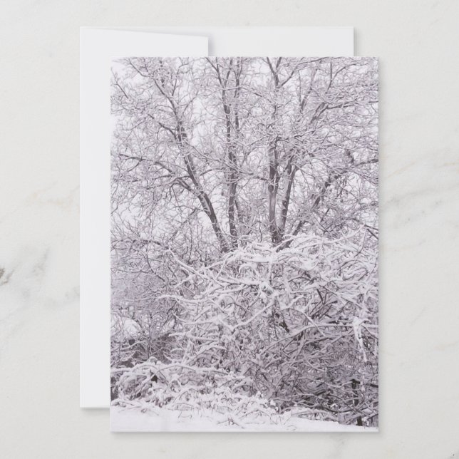 Cartes Pour Fêtes Annuelles Scène d'hiver vide (Devant)