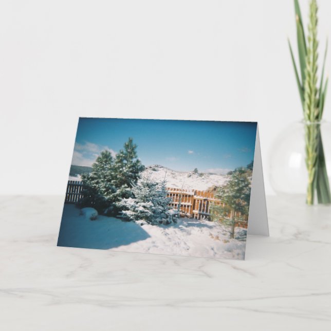 Cartes Pour Fêtes Annuelles Scène hivernale (Devant)