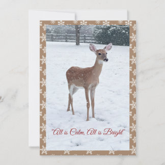 Cartes Pour Fêtes Annuelles Scène hivernale de faon faune sauvage
