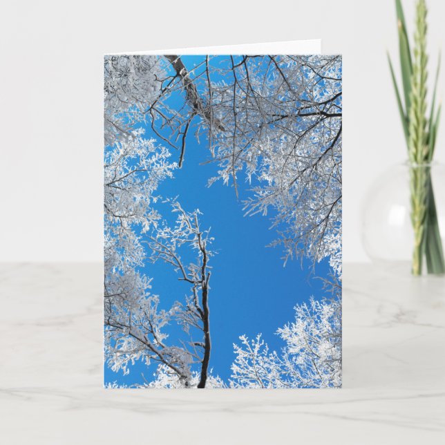Cartes Pour Fêtes Annuelles Scène hivernale neigeuse (Devant)