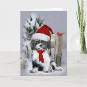 Cartes Pour Fêtes Annuelles Scène hivernale Shih Tzu