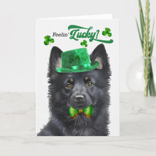 Cartes Pour Fêtes Annuelles Schipperke Chien Feelin' Lucky St Patrick's Day