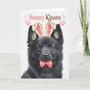 Cartes Pour Fêtes Annuelles Schipperke Dog Bunny Oreilles pour Pâques