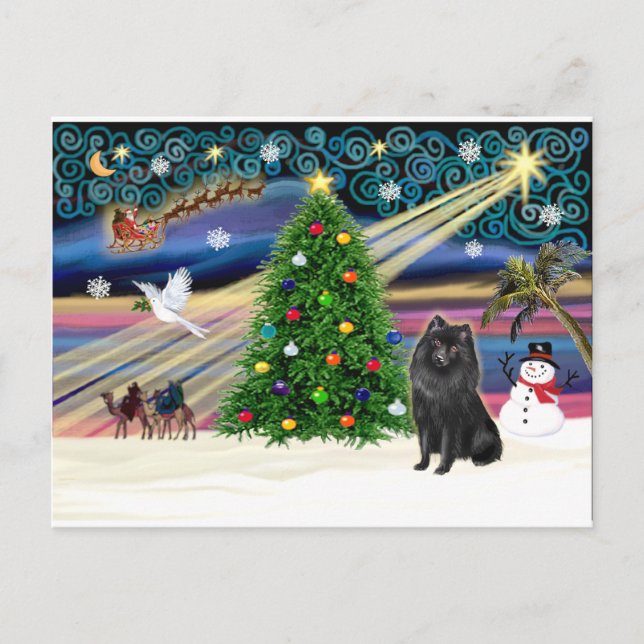 Cartes Pour Fêtes Annuelles Schipperke magique de Xmas (Devant)
