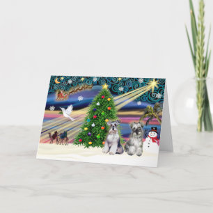 Cartes Pour Fêtes Annuelles Schnauzers magiques de Noël (deux)