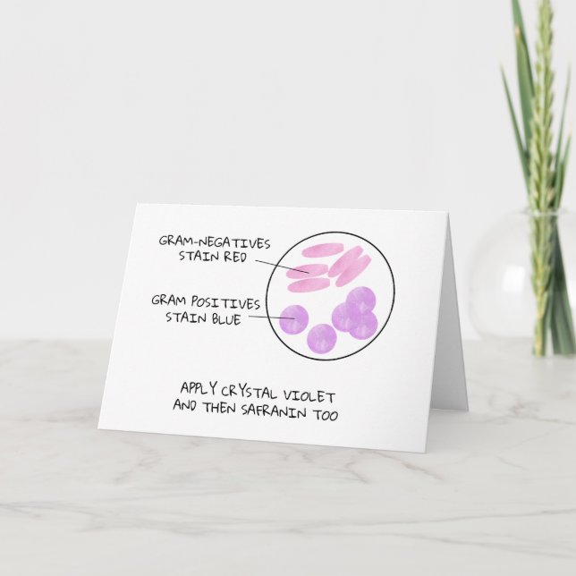 Cartes Pour Fêtes Annuelles Science Valentine Microbiologie Gram Stain Poème L (Devant)