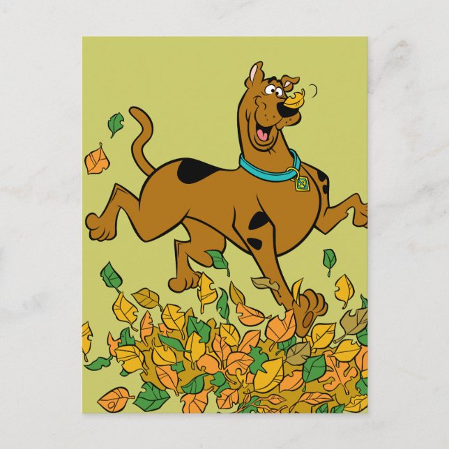 Cartes Pour Fêtes Annuelles Scooby Doo Thanksgiving Feuilles (Devant)