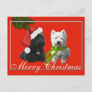 Cartes Pour Fêtes Annuelles Scottie et Westie Joyeux Noël