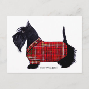 Cartes Pour Fêtes Annuelles Scottie Holiday Jacket