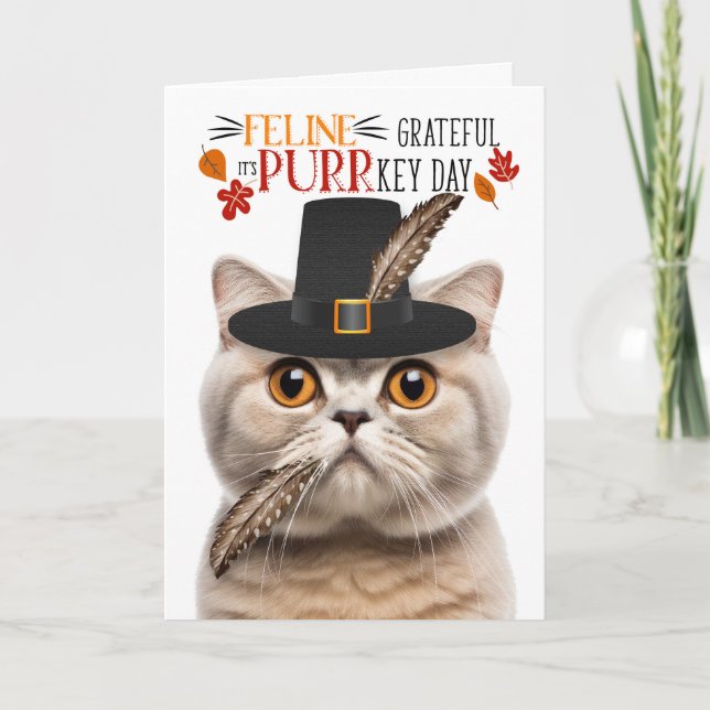 Cartes Pour Fêtes Annuelles Scottish Fold Cream Cat Grateful pour PURRkey Day (Devant)