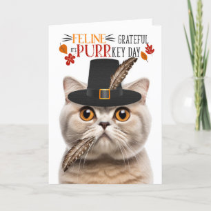Cartes Pour Fêtes Annuelles Scottish Fold Cream Cat Grateful pour PURRkey Day