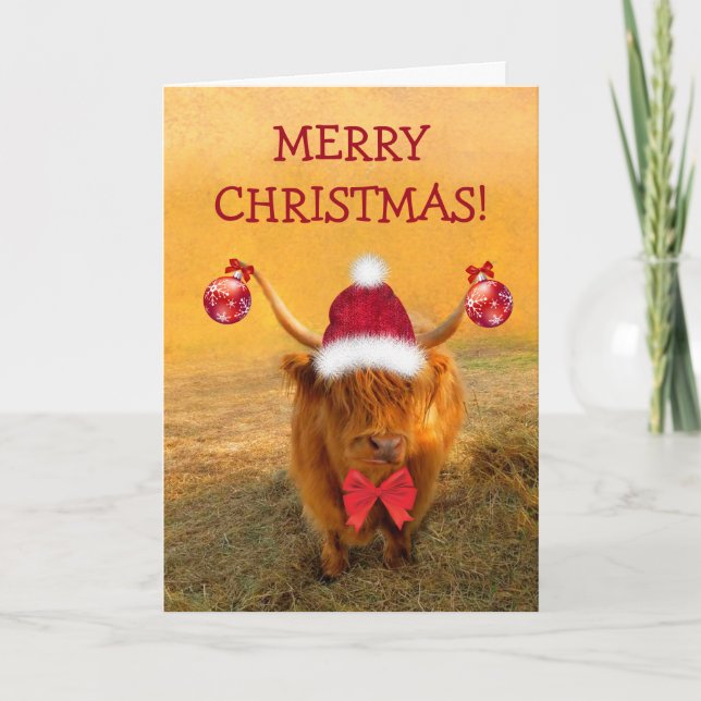 Cartes Pour Fêtes Annuelles Scottish Highland Steer Christmas Fun (Devant)