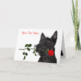 Cartes Pour Fêtes Annuelles Scottish Terrier Puppy Red Rose Valentine Design