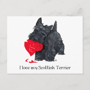 Cartes Pour Fêtes Annuelles Scottish Terrier Valentine