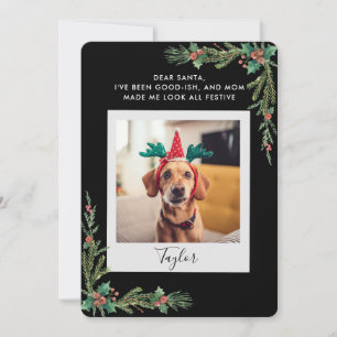 Cartes Pour Fêtes Annuelles Script de photo de chien drôle Noël