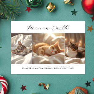 Cartes Pour Fêtes Annuelles Script Peace On Earth Meowy Christmas Photo de cha