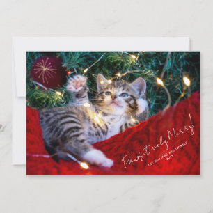 Cartes Pour Fêtes Annuelles Script photo pour animal de compagnie moderne Paws