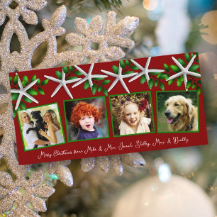 Cartes Pour Fêtes Annuelles Sea Stars à Holly Four Photo Famille de Noël Holi