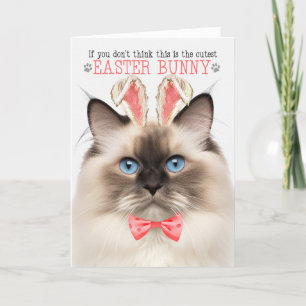 Cartes Pour Fêtes Annuelles Seal Point Ragdoll Plus Mignon Lapin de Pâques Kit
