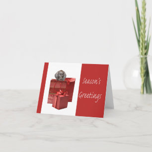 Cartes Pour Fêtes Annuelles Season’s Greetings german shorthaired pointer pup
