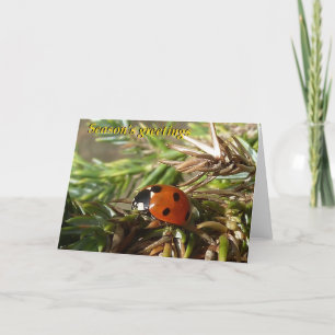 Cartes Pour Fêtes Annuelles Season's greetings