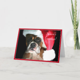 Cartes Pour Fêtes Annuelles Season's Greetings Boxer dog greeting card