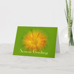 Cartes Pour Fêtes Annuelles Seasons greetings  greeting card