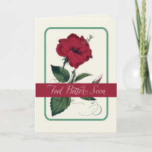 Cartes Pour Fêtes Annuelles Sensation mieux, fleur rouge de ketmie, religieuse