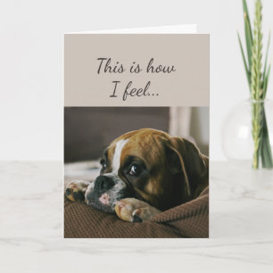 Cartes Pour Fêtes Annuelles Sentez-vous triste de vous inquiéter Cote Boxer Do