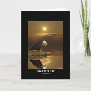 Cartes Pour Fêtes Annuelles Série GRATITUDE D'Aigle
