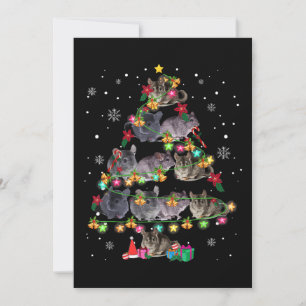 Cartes Pour Fêtes Annuelles Séries de Noël de Chinchilla, rongeurs amusants No