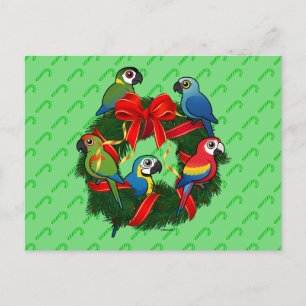 Cartes Pour Fêtes Annuelles Serre de Noël Birdorable Macaws