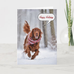 Cartes Pour Fêtes Annuelles Setter Irlandais De Noël Dans Les Snowflakes