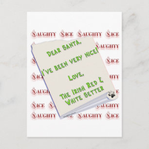 Cartes Pour Fêtes Annuelles Setter irlandais Naughty Nice