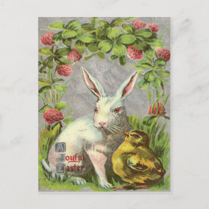 Cartes Pour Fêtes Annuelles Shamrock de poussins Bunny de Pâques